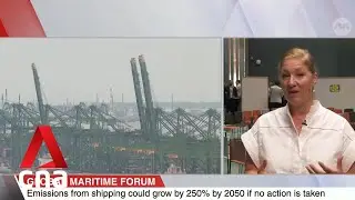 High costs an obstacle to green fuel adoption in maritime sector: Expert