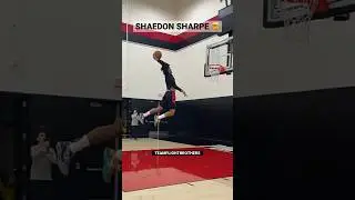 Shaedon Sharpe foul line dunk off TWO feet 🤯 #nba #dunk