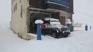Kalam Forest Swat Valley