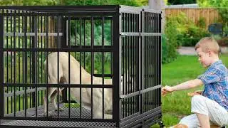 Indestructible! 48&rdquo; Heavy Duty Dog Crate for Large Dogs | Anxiety-Proof & Escape-Proof!