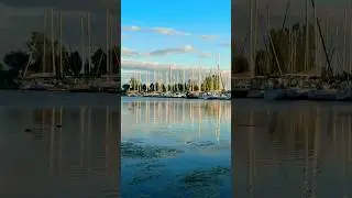 Toronto Lifestyle Stroll 🚶&zwj;♂️ | Scenic 4K Walking POV #shorts