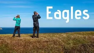 The Search for Eagles on the Outer Hebrides