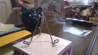 8-7-11 Mailday (tsdst5)