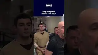 Luigi Mangione in New York court: Live stakeout, what could happen today