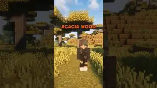 Acacia Wood is NOT Ugly #minecraft #minecraftbeauty #minecraftbuilding
