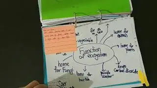 IB PYP Student Portfolio
