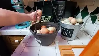EGGS: Washed or Unwashed? Counter or Fridge?