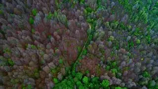 Spring in the mountains of Alborz