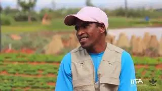 Voix paysannes au Parc d’Innovation - IITA PADAGASCAR