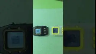 Digimon Pendulum 1998