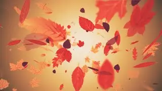 Colorful Leaves Falling Autumnal Background Looping Animation - Free Stock Video