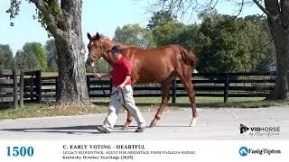 Hip #1500 - Colt by Early Voting - Heartful