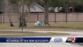 Volusia County dogs that brutally mauled 8-year-old boy to be euthanized, officials say