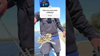 Crabbing with 2 ring crab traps and chicken.  #Crab #Crabbing #fishing #Seafood #Florida #Sun #hobby