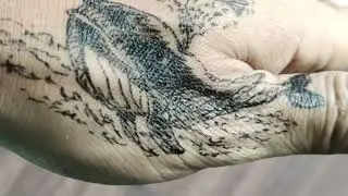 | whale tortoise body painting | cute baby art drawing | amaz trending | stick | temporary tattoo ##