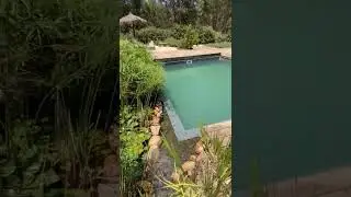 Bio Piscina natural sin cloro, tratamiento ecol&oacute;gico