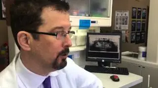 Dr. J's Quality Dental Plans