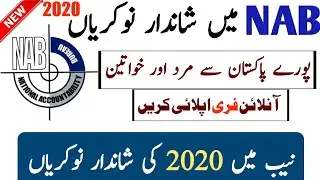 NAB jobs 2020 | Latest NAB jobs 2020 For All Pakistan | Downloade Applications Form