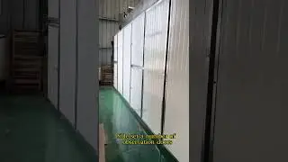 Multi-functional mesh belt dryer #dryingequipment #dryingmachine #dryer