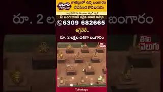 తగ్గేదేలే.. రూ. 2 లక్షల దిశగా బంగారం | Gold Prices Updates | Gold Rates Hike | Today Gold Rate