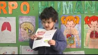 cuerpo humano   nido
