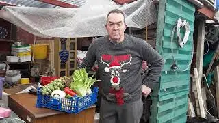 Christmas Potato Reveal & Christmas Day Vegetable Harvest