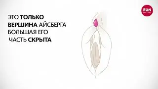 STRONIC REAL