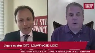 This Disruptive Metaverse Penny Stock will potentially 10 X | Liquid Avatar LQAVF