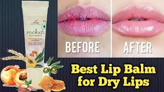 Moha Herbal Lip Balm Review | Best Lip Balm for Winters | Affordable Lip Balm | Under 50 rs |