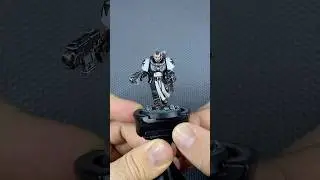 Black Templar Neophyte Painting Process! #warhammer40k #warhammer #40k #castellanpetrus