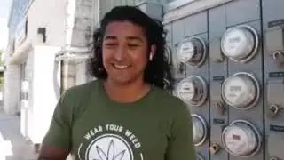 Behind The Scenes: A day in the life of a CBD preroll manufacturer 2019