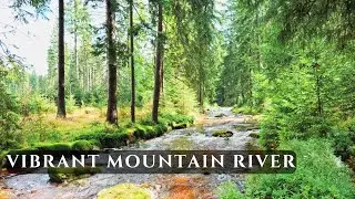 10H Vibrant Mountain River Sounds &bull; Refreshing Forest Water for Energy & Focus