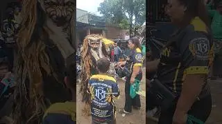 detik detik harimau mau di transper khodam