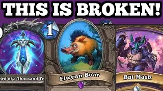 Elwynn Boar has broken Hearthstone