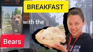 Bear Museums & Breakfast with the Bears