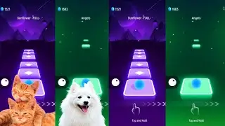 Tiles hop EDM Rush   Cute cats vs White dog on Ball Games channel