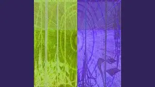 Fight or Flight
