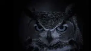 Widow's Lullaby (Original)