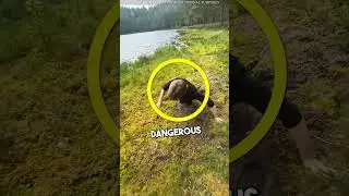 Dangerous Dare In The Park 😰