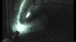 Green laser missing IR filter