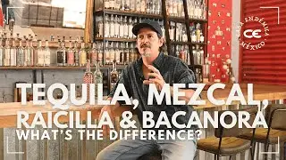 Tequila, Mezcal, Raicilla & Bacanora | What&rsquo;s the Difference? | Esteban Morales of Casa End&eacute;mica