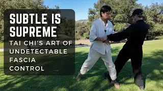 Subtle is Supreme: Tai Chi's Art of Undetectable Fascia Control