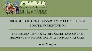 The Influences of Weather Conditions on the Frequency and Duration of Avian Parental Care