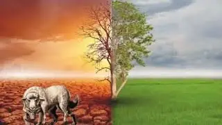 Matthew 7:15-20 The Tree and its Fruit (Wolf in sheep's clothing) #fruit #wolves #sheep #bible #tree
