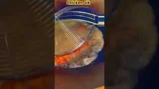 Chicken sik #food #howtomakefishfryrecipe #chickenorgan #fish #howtomakefishfry #chickendishrecipe
