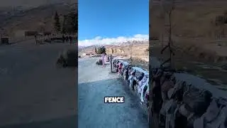 This place has a fence with bras hanging on it