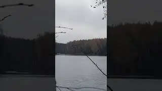 ЛЕС И ОЗЕРО - МОИ ЛЮБИМЫЕ ЛОКАЦИИ ДЛЯ СЪЁМКИ ВИДЕО И ФОТО.
