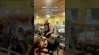 Strongest furry!  #fursuit #furry #furrymuscle #shorts #youtubeshorts #fursuit #strong #cute #beast