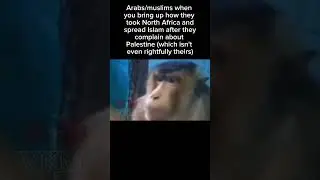 Arab and islamic hypocrisy 😐