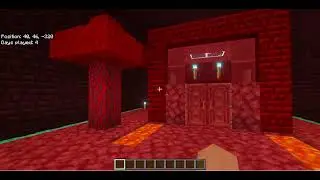 Nether style house final results
